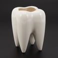 thumbnail image 3 of 2X Tooth Shape White Ceramic Flower Pot Modern Design Planter Teeth Model Mini Desktop Pot Gift(Without Plants), 3 of 8