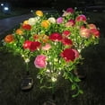 thumbnail image 4 of Billuyoard Luces de flores con energía solar Patio Jardín Luz de piso al aire libre Césped al aire libre Iluminación y accesorios Rosa rojo, 4 of 6