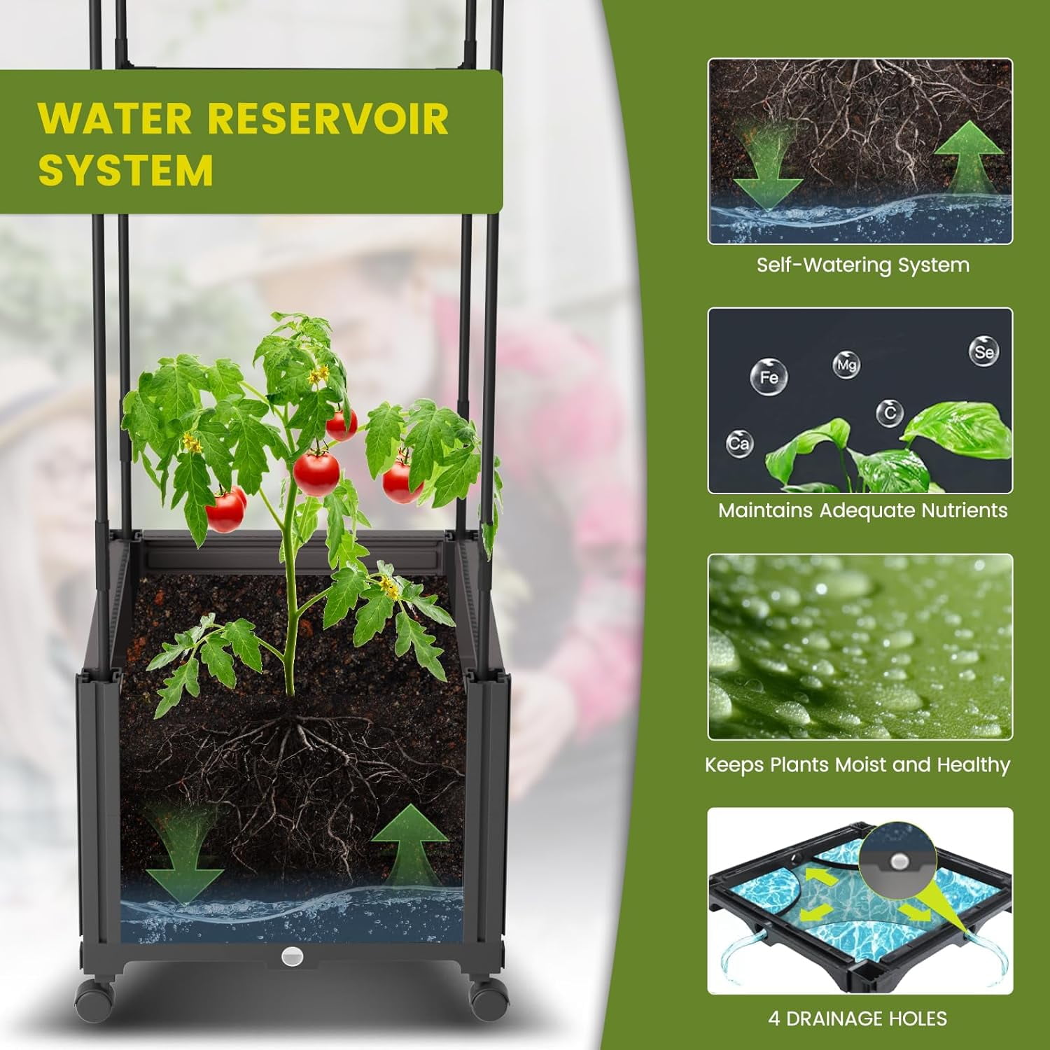 ABORON Raised Garden Bed Planter Box with Trellis, Plants Outdoor and Indoor Tomato Cage for Climbing Vegetables Plants & Herbs & Flowers w/Self-Watering & Wheels, Indoor Outdoor Use