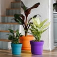 thumbnail image 2 of Bloem Saturn 12" Round Plastic Planter - Indoor/Outdoor, Snap-in Saucer & Drainage Holes, Royal Lilac, 2 of 8