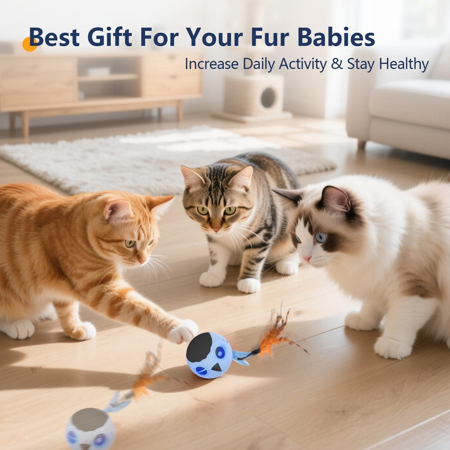 Cat Toys, Interactive Cat Toy for Indoor Cats, Automatic Moving Ball Bird for Indoor Adult Cats Kitten Toys All Breeds, Fast Rolling Motion Activated Chirping Stimulating Light, 2 Feather Refill
