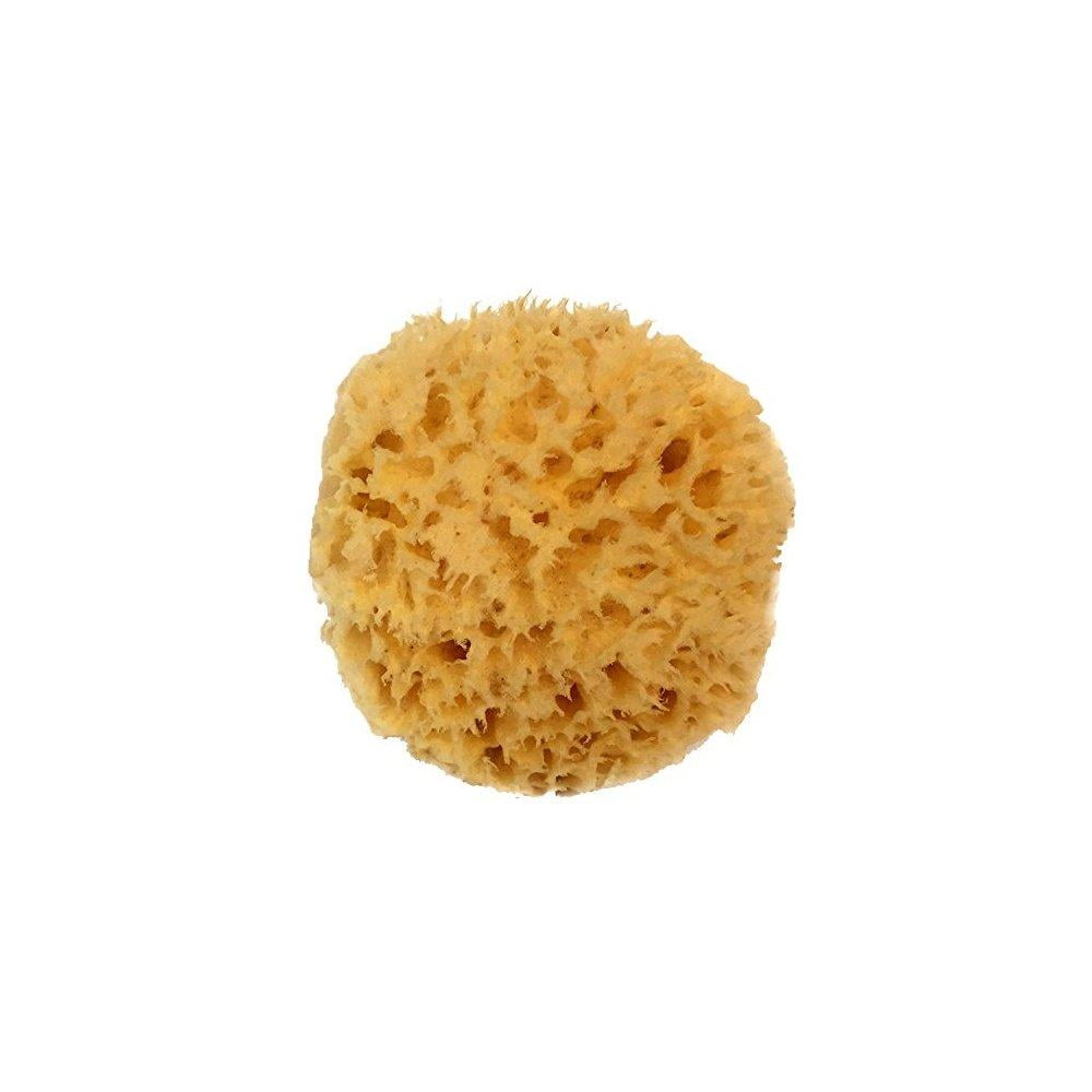 Natural Sea Wool Sponge 4-5 by Spa Destinations ® Amazing Natural ...