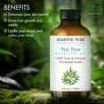thumbnail image 2 of Majestic Pure Tea Tree Essential Oil, Premium Grade, Pure and Natural Oil, 4 fl oz, 2 of 10