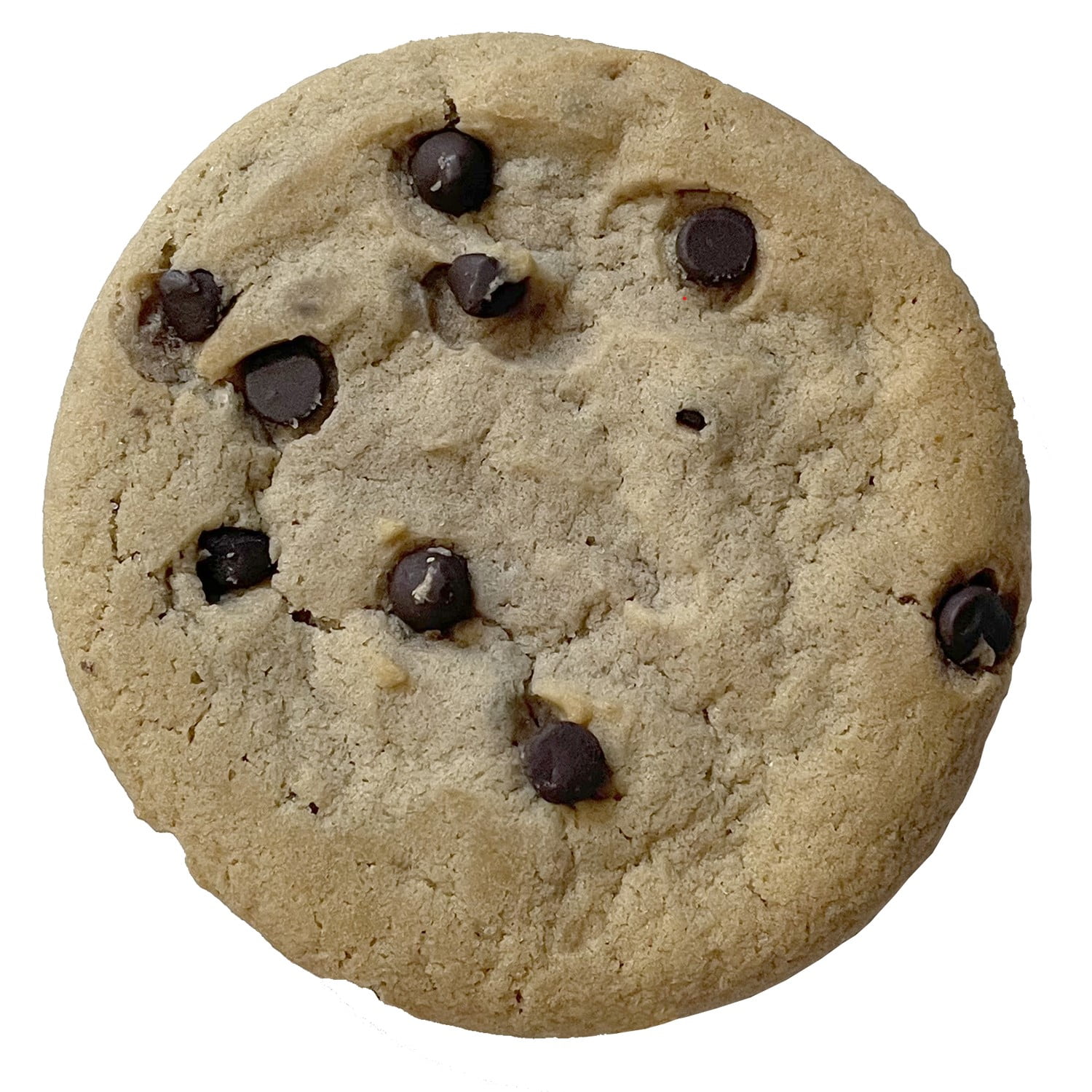 (10 pack) Homestyle Soft Baked Chocolate Chip Flavored Cookie 6 Count, Ready to Eat, Kosher Dairy, Contains: Eggs, Milk, Soy, Wheat