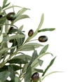 thumbnail image 6 of Northlight Artificial Olive Tree with Foliage In a Black Pot - 40", 6 of 8