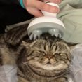 thumbnail image 2 of Masseur Électrique de Tête de Chat de Chien de Compagnie en Forme de Patte, 2 of 7