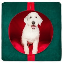 Vibrant Life Holiday Gift Extra Large Pet Bed, Red and Green, 36" x 27" x 36"