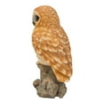 thumbnail image 2 of Hi-Line Gifts 12.5" Tawny Owl on Stump Outdoor Garden Statue, 2 of 5