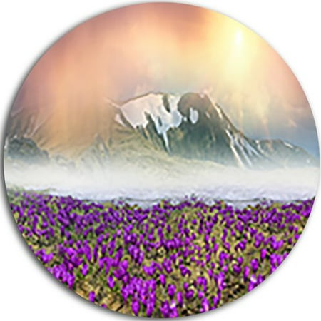 - Design Art 'Spring Crocus Flowers' Graphic Art Print on Metal