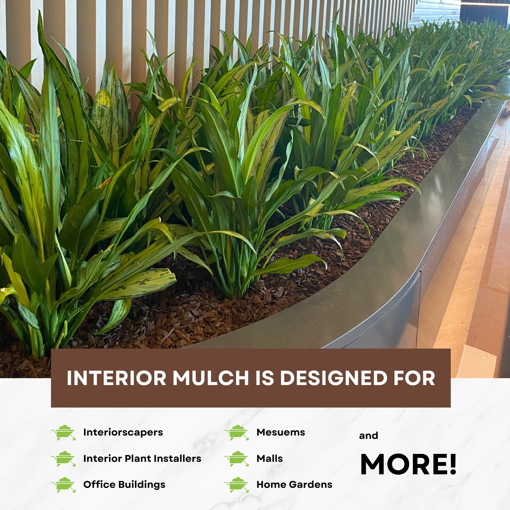 Decorative Mulch for Indoor Planters – Natural Mocha | 6.5 Qts (0.2 cu ft)