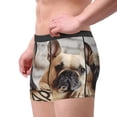 thumbnail image 2 of Picia Cute Bulldogs Apply Pattern Men’s Boxer Briefs – Soft & Breathable Underwear, Stretchy & Comfortable Fit, Supportive Pouch Design, Moisture-Wicking-Medium, 2 of 5