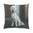 thumbnail image 2 of Ahgly Company Dogs Dogs Indoor Throw Pillow, 18 inch by 18 inch, 2 of 6