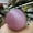 Pink, variant on K-KED Beautiful Rare Natural Cat's Eye Stone Balls Quartz Crystal Reiki Healing Sphere-50 mm-White