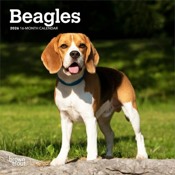 Beagles | 2026 7x14" (Hanging) Monthly Mini Wall Calendar | BrownTrout