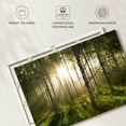 thumbnail image 6 of Elephant Stock Birch Forest Sunlight Wall Art - Horizontal Canvas Wall Art - Living Room Wall Decor - Nature Canvas - Beige And Gray Decor - 36" x 24", 6 of 8