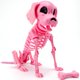 thumbnail image 1 of Decoración JOYIN con forma de esqueleto de perro posable para Halloween, 32 cm, rosa, 1 of 8