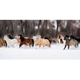 thumbnail image 2 of PHBurchett 14x9 Gold Ornate Wood Framed with Double Matting Museum Art Print Titled - Snow Run II, 2 of 4