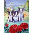 thumbnail image 1 of 11 x 15 Po Boston Terrier Trois dans une Rangée Drapeau Taille de Jardin, 1 of 1