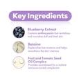 thumbnail image 3 of Tónico facial FRUDIA Blueberry Hydrating 195 ml con 88% de extracto, 3 of 6