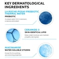 thumbnail image 4 of Set para el cuidado de la piel La Roche-Posay Toleraine Double Repair 100 ml, 4 of 7