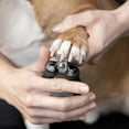 thumbnail image 2 of Cortauñas Tweezerman Small para perros y gatos, 2 of 8