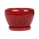 thumbnail image 1 of Bewildely Maceta de cerámica con bandeja separada Maceta Soporte esmaltado Agujero de drenaje Transpirable para la decoración de la sala de Jardín y Patio Glaseado de flor roja, 1 of 6