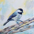 thumbnail image 3 of Vertentes, Jeanette 12x12 Black Modern Framed Museum Art Print Titled - Chickadee, 3 of 5