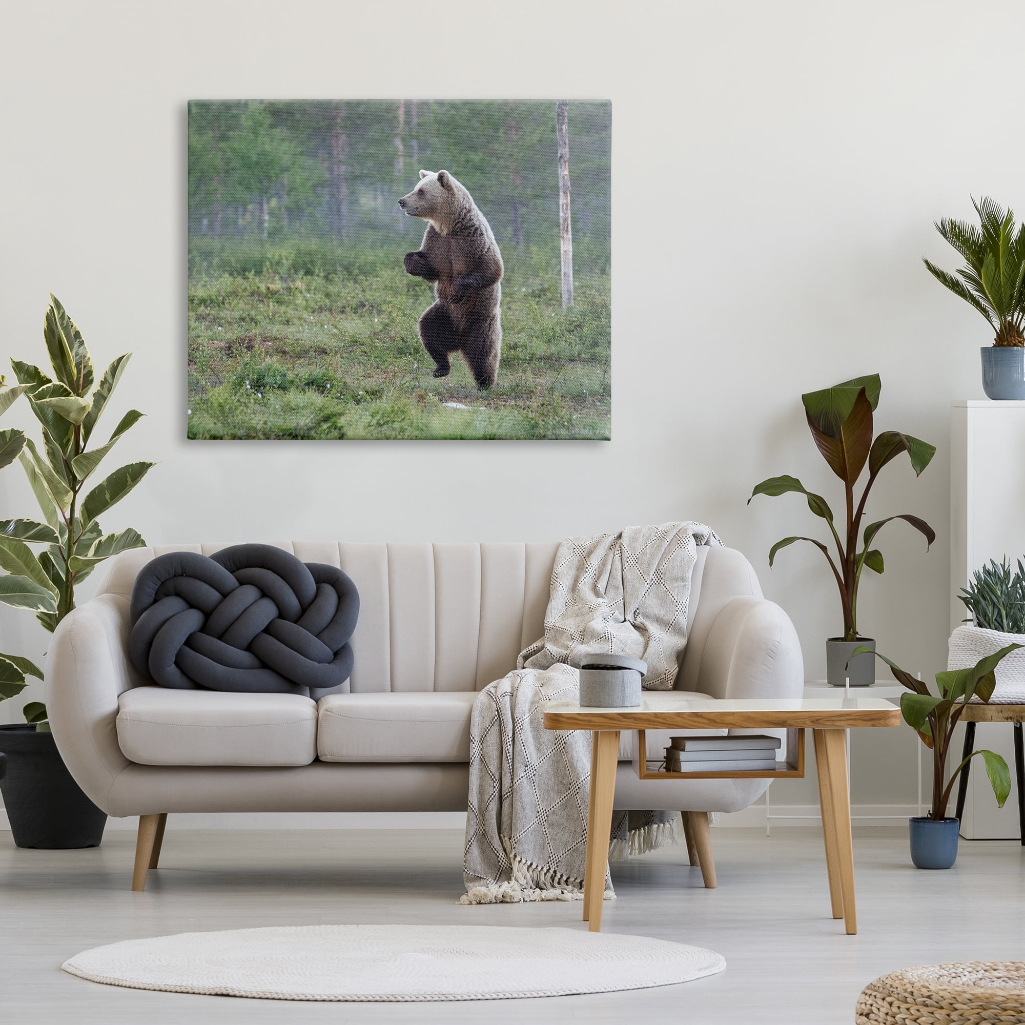 Stupell Industries Dancing Bear in Forest Animals & Insects Photography Gallery Wrapped Canvas Art Print Wall Art, 48 x 36