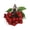 Style:bayberry, variant on rtificial Fruit Fake Fruit, Bunch of Simulation Fruit Photography Props for Kitchen Parties Decorations, 6 Kind of Fruit