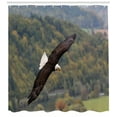 thumbnail image 3 of Ambesonne Eagle Shower Curtain, King of Skies Fly Forest, 69"Wx70"L, Green Dark Brown White, 3 of 3