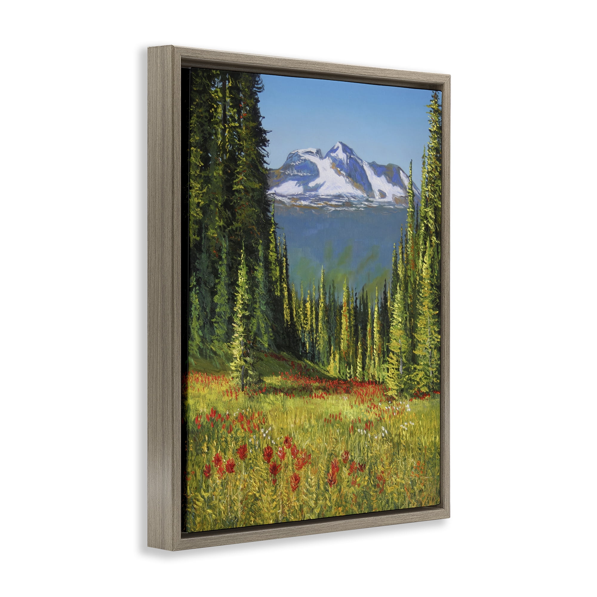 Stupell Industries Alpine Valley Meadow Landscape & Nature Painting Brown Floater Framed Canvas Art Print Wall Art, 17 x 21
