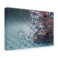 thumbnail image 3 of Trademark Fine Art Beata Czyzowska Young Blue Silence Canvas Wall Art - 16x24, 3 of 5