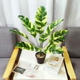 thumbnail image 2 of Cateissary Simulación de planta falsa, decoración de plantas de árboles artificiales, accesorios de adorno de moda para el hogar, sala de estar y oficina Decoración 18 hojas 82cm Cateissary HA073011-02, 2 of 6