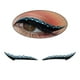 thumbnail image 3 of Pegatinas delineador de ojos Doble línea de párpados Maquillaje Línea de Azul jinwen pestañas pegatinas, 3 of 7
