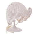 thumbnail image 3 of WNVMWI Infant Sun Hat Baby Lace Bonnet Hats with Chin Tie Newborns Breathable Bonnets for Summer Outings Beige 0-6 Months, 3 of 4
