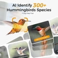 thumbnail image 4 of TT Nature Smart Hummingbird Feeder with Camera, Solar Powered, AI Bird Identification, Cloud Storage, Instant App Alerts, CCPA Compliant, Outdoor Hanging Feeder, 20 oz, 4 of 7