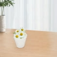 thumbnail image 3 of SWETRACE Plastic Planter Liners Transparent 10Pcs for Indoor Plants, 3 of 8