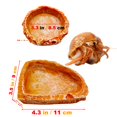 thumbnail image 3 of 2 Packs Reptile Water Dish Food Bowl for Bearded Dragon Tank Accessories, Reptile Rock Feeder for Leopard Gecko Hermit Crab Tortoise Snake, Orange, 3 of 6