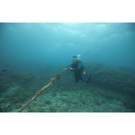 Diver holds onto the anchor line during his safety stop at a dive site in Fiji Poster