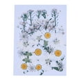 thumbnail image 1 of KLKCMS Belles Fleurs Séchées Pressées Naturelles - Remplissage, 1 of 6