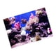 thumbnail image 5 of Telón De Fondo 3D Acuario Bajo el Interior TV Papel Tapiz Vinilo Fotografía Fondo Niños De Niños, 5 of 5