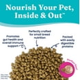 thumbnail image 6 of Solid Gold Mighty Mini Grain-Free Small Breed Dry Dog Food, Chicken, 4 lb., 6 of 7