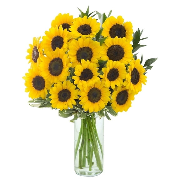 Kabloom Fresh Bouquet of 10 Bright Sunflowers with Vase