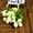 White, variant on SPRING PARK 15 Heads/1 Bouquet Silk Rose Artificial Flowers Bunch Bouquet Wedding Home Party