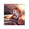 thumbnail image 3 of fashionhome 5D Embroidery Needlework Stitchwork Drawing Tiger Picture Rhinestone Diamond Painting Cross-stitch Needlework Decor, 3 of 8
