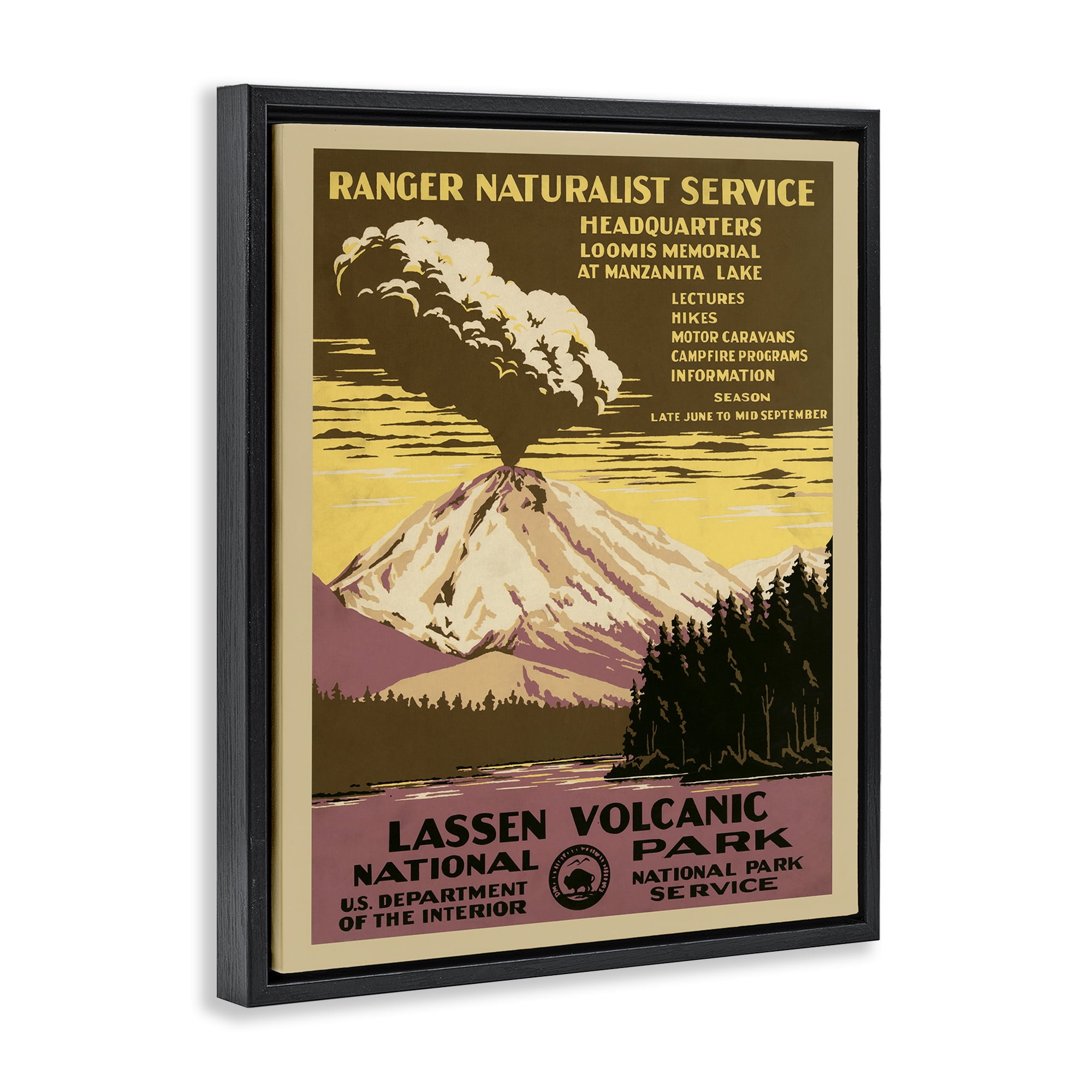 Stupell Industries Vintage National Park Landscape Painting Black Floater Framed Art Print Wall Art, 25 x 31