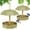 Olive Green, variant on Kingsyard Bamboo Fiber Platform Bird Feeder with Roof, 1.5 lb Capacity, Ivory White (2 Pack)