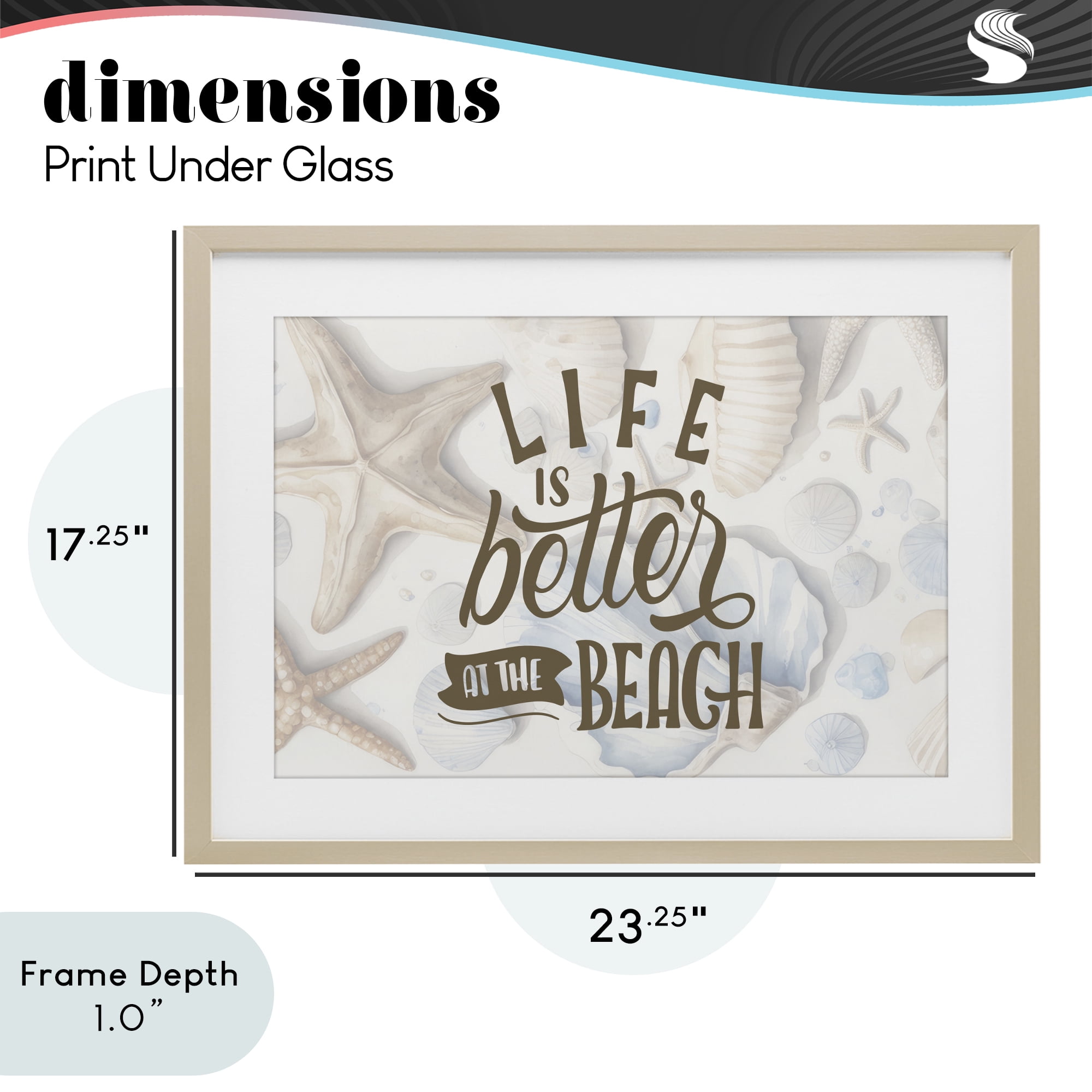 Stupell Industries Better At Beach Seashells Birch Framed Print Under Glass, design by Kim Allen