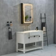 thumbnail image 1 of 24 in. W x 36 in. H Rectangular Silver Aluminum Mount Medicine Cabinet with Mirror and LED Light, 1 of 6