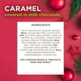 thumbnail image 6 of RUSSELL STOVER Christmas Milk Chocolate Caramel Ornament, 1.3 oz., 6 of 8